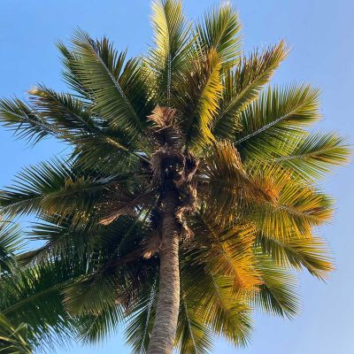 Reasons Why You Should Visit Egypt Often